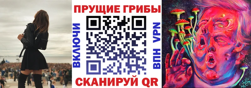 Купить  Верхотурье  Галлюциногенные грибы Psilocybe 
